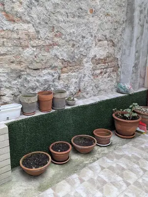 a row of potted plants sitting on a ledge at House in Gardos in Zemun