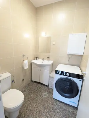 a bathroom with a washer and a toilet and a sink at House in Gardos in Zemun