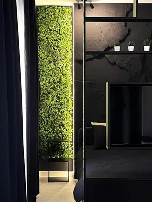a room with a green wall with a bed and a mirror at Rossa & Bayo Apartments in Belgrade