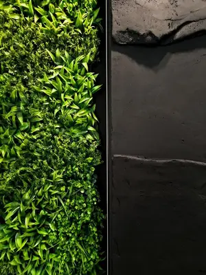 a hedge with green plants next to a wall at Rossa & Bayo Apartments in Belgrade