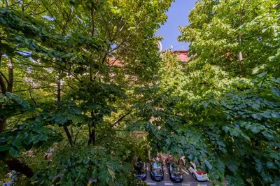 a group of boats parked in the middle of trees at Apartman Igor 1 in Belgrade