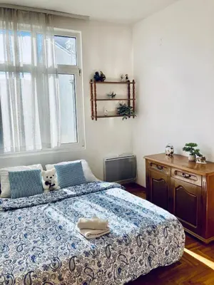 a bedroom with a large bed and a window at Apartman Igor 2 in Belgrade
