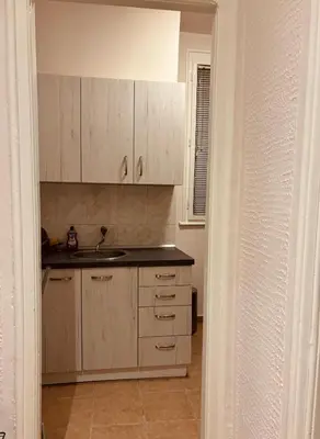 a kitchen with wooden cabinets and a sink at Old town Belgrade in Belgrade