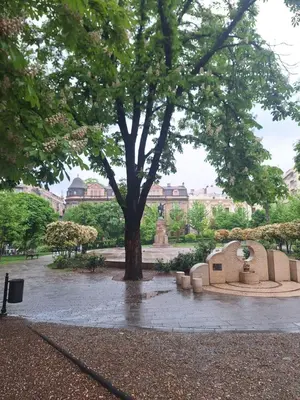 a tree in the middle of a park at Old town Belgrade in Belgrade