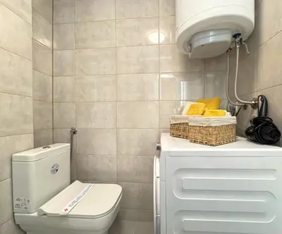 a bathroom with a toilet and a basket on a counter at Maria Belgrade Center in Belgrade