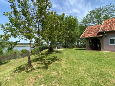 a tree in a yard next to a house at Vikendica Lela in Beška