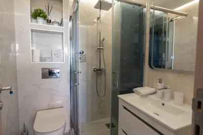 a bathroom with a shower and a toilet and a sink at Kolonja Apartmani in Arandjelovac