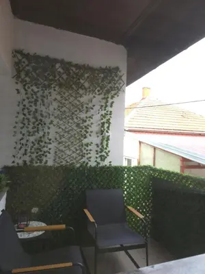a room with a chair and a green wall at Kolonja Apartmani in Arandjelovac