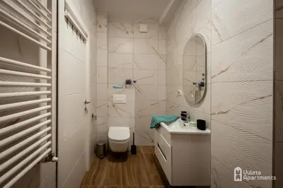a bathroom with a toilet and a sink and a mirror at Vuleta Apartments Aranđelovac in Arandjelovac
