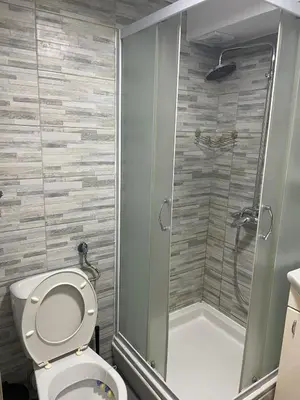 a bathroom with a toilet and a shower at Central duplex apartment in Belgrade