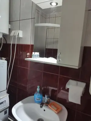 a bathroom with a sink and a mirror at KS Studio 2 in Belgrade