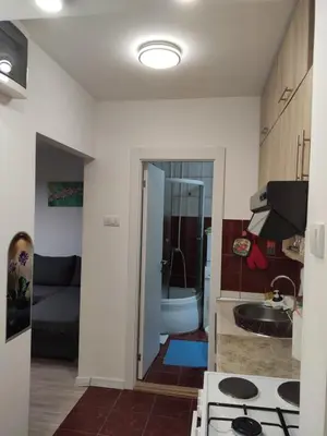 a kitchen with a sink and a toilet in a room at KS Studio 2 in Belgrade