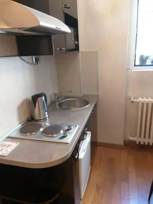 a small kitchen with two sinks and a counter top at Adagio 7 in Belgrade