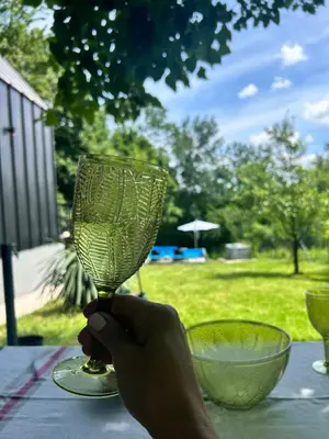 a hand holding a wine glass on a table at Cabin 16 in Čolakovica Potok
