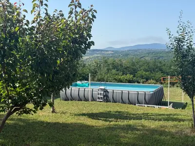 a swimming pool in a field next to a tree at Zen Cherry House- Vikendica na dan sa bazenom1,5ha izmedju Avale i Kosmaja in Drobnjaci