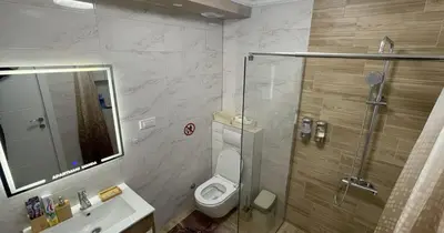 a bathroom with a shower and a toilet and a sink at Apartman Manda in Belgrade