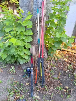 a group of baseball bats leaning against a wall at Nasa kuca in Gročanska Ada