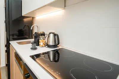 a kitchen with a stove and a sink at New York Belgrade Waterfront in Belgrade