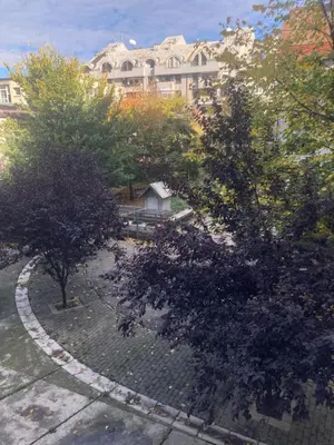 an overhead view of a park with trees and a building at Chillton hostel in Belgrade