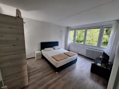 a bedroom with a bed and two windows at Stan na dan Banovo brdo in Belgrade