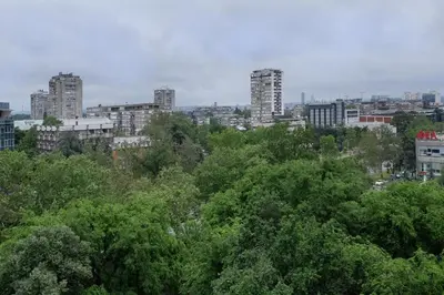 a city skyline with tall buildings and trees at New Belgrade Roses Apartment in Belgrade