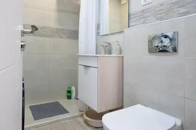 a small bathroom with a toilet and a shower at New Belgrade Roses Apartment in Belgrade