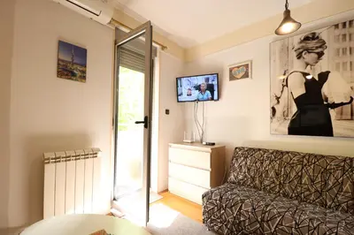 a living room with a couch and a tv at Studio Apartman Vladar in Belgrade