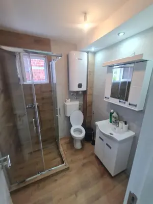 a bathroom with a shower and a toilet and a sink at Marash stan na dan in Belgrade