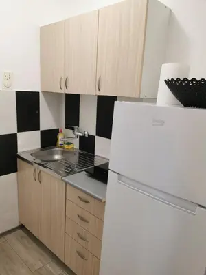 a kitchen with a white refrigerator and a sink at The Best Offer in Belgrade