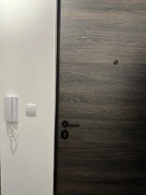 a door with a wooden door with a handle at Sleep&Fly 1 Belgrade in Belgrade