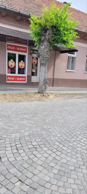 a tree in front of a building with a brick road at SplavTisa-Titel in Titel