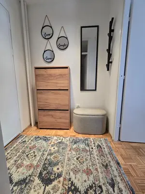 a bedroom with a dresser and a mirror and a rug at Flower Home Belgrade in Belgrade
