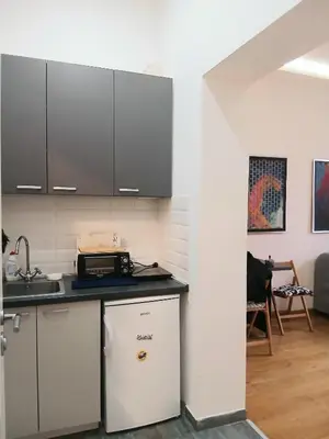 a kitchen with a sink and a refrigerator at Vlada in Belgrade