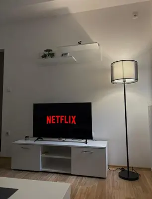 a living room with a television and a lamp at Stan Na Dan 111 in Inđija