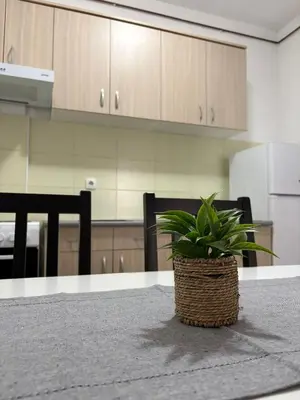a potted plant sitting on a table in a kitchen at Stan Na Dan 111 in Inđija