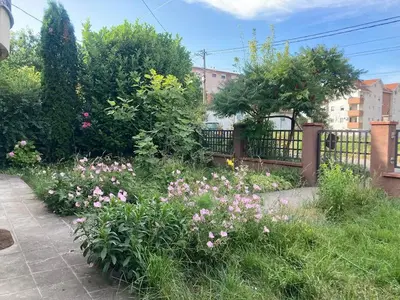 a garden with pink flowers in front of a fence at Artists Inn, large 2 bed duplex apartment, parking in Železnička Stanica Zemunsko Polje