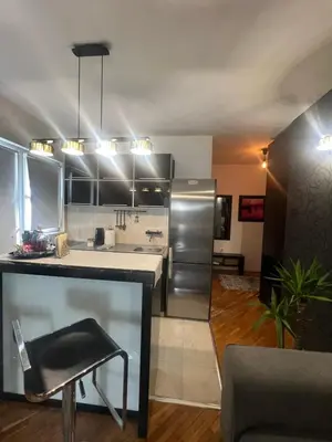 a kitchen with a stainless steel refrigerator freezer at Joker 5 in Belgrade