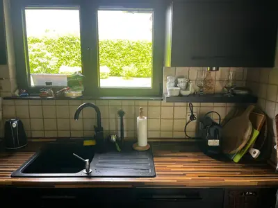 a kitchen counter with a sink and two windows at Zelena Oaza nadomak Beograda in Lipovica