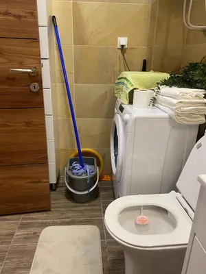 a bathroom with a toilet and a mop at Forests nest in Belgrade