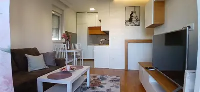 a living room with a couch and a table at Miletić Lux in Zemun