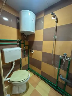 a bathroom with a toilet and a shower at Dream 10 in Belgrade