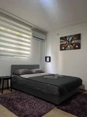 a bedroom with a large bed and a window at Aria Central Apartment in Smederevo