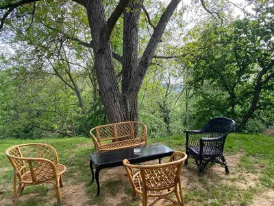 three chairs and a table in front of a tree at Apartman Vera