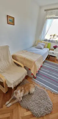 a cat laying on the floor in a room with two beds at Mileshevska Studio in Belgrade