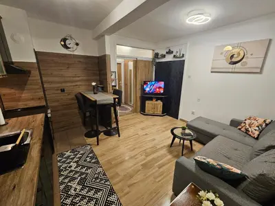a living room with a couch and a table at Apartman Sandra in Belgrade