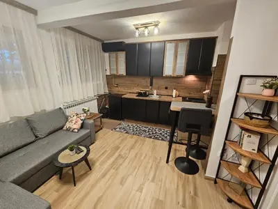 a living room with a couch and a kitchen at Apartman Sandra in Belgrade