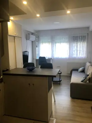 a kitchen and living room with a couch and a table at Beograd stan na dan in Novi Beograd