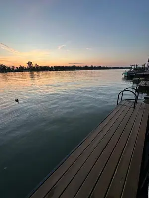 a duck swimming on the water next to a dock at Splav na Savi in Ostružnica