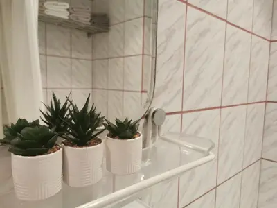 three plants sitting on a glass shelf in a bathroom at - WHITE - white&black Apartmans-Free parking- in Belgrade