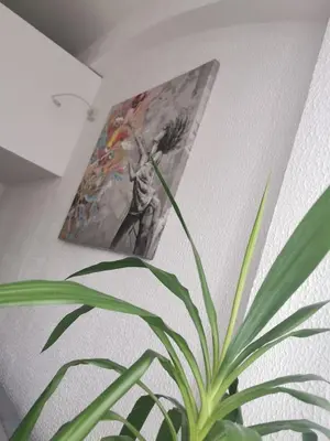 a plant in front of a painting on a wall at - WHITE - white&black Apartmans-Free parking- in Belgrade